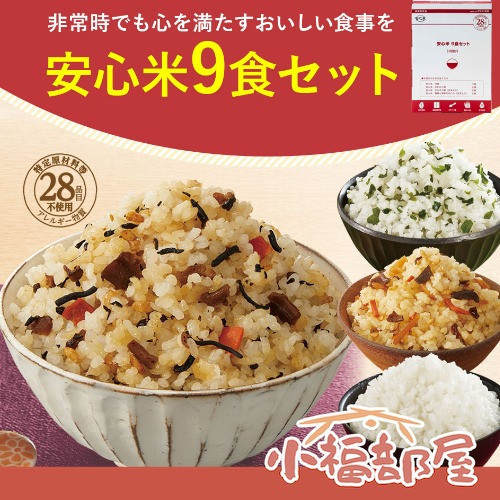 Alpfa 日本製 乾燥米飯 9入 Alpfa 乾燥米飯,日本防災食品,5年保存米飯,長效期食品,日本製防災口糧,登山露營乾燥米飯,防災儲備食品,緊急避難食品,乾燥白米,日本原裝進口米飯