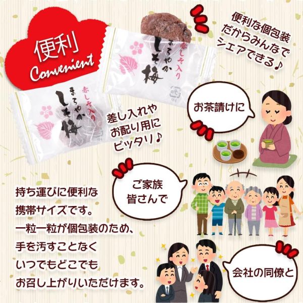 日本直送リフ工房 無籽梅乾 200g 獨立包裝 紫蘇口味 梅片 鹽分補給 露營 健行 爬山【小福部屋】 
