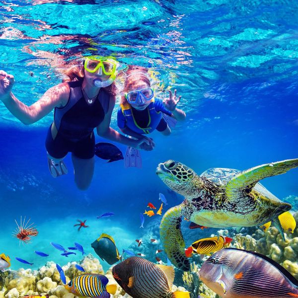日本 Reef Tourer 浮潛背心 浮力背心 游泳輔助 潛水背心 海島旅遊水上活動 TUSA Tabata 夏季活動【小福部屋】 