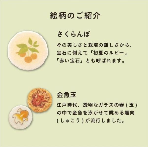 桂新堂 初夏系列 蝦餅禮盒（ 8入/ 10入/16入/24入/41入） 桂新堂,蝦餅禮盒,日本仙貝,夏季禮盒,日式伴手禮,蝦味煎餅,日本零食禮盒,端午送禮,高級蝦餅,季節限定