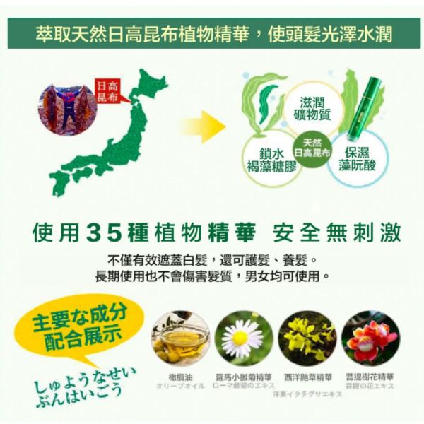 日高 白髮補染筆 20g/個 