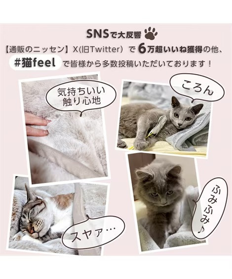 Neko Feel 貓咪觸感毛毯 (三花貓/蘇格蘭折耳貓-米色/俄羅斯藍貓-灰/銀虎斑貓/黑貓) Neko Feel,日本毛毯,貓咪毛毯,三花貓,銀虎斑,保暖毯,療癒毛毯,冬季毯子,交換禮物,貓咪控,觸感毛毯,保暖小物
