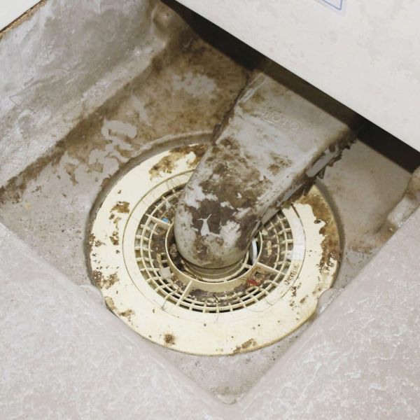 Cogit 日本製 BIO 排水孔防霉滅臭 3枚入 Cogit, BIO 防霉, 排水口, 日本清潔小物, 無氯除味, Power Bio, 浴室防霉, 排水孔清潔, 日本家事用品, 防霉片