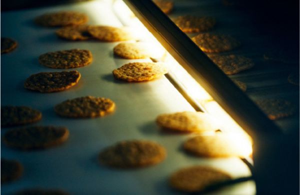 桂新堂 馬年限定 新春蝦餅(6入/9入/10入/18入) 桂新堂, 馬年禮盒, 新春蝦餅, 日本蝦煎餅, 干支伴手禮, 年節送禮, 企業禮盒, 日本百年名店