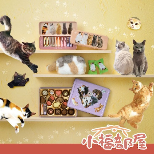 Mary’s nekomyamire 貓咪巧克力禮盒(紫盒 6入/圓罐 6入/罐頭 2入/長罐 10入/方罐 14入/紫盒 22入/三花貓小包 5入/白貓掌小包 5入/黑白虎斑貓小包 5入) Mary’s, ねこみゃみれ, 貓咪巧克力, 貓奴禮物, 情人節巧克力, 日本巧克力, 貓咪造型, 交換禮物