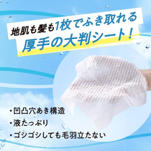 日本製 Kao merit DAY+ 乾洗髮濕紙巾 12枚 乾洗髮濕巾 乾洗髮 乾洗頭 油頭 不黏膩 外出 露營 夏季必備 日本製,Kao,meritDAY+乾洗髮濕紙巾12枚,乾洗髮濕巾,乾洗髮,乾洗頭,油頭,不黏膩,外出,露營,夏季必備