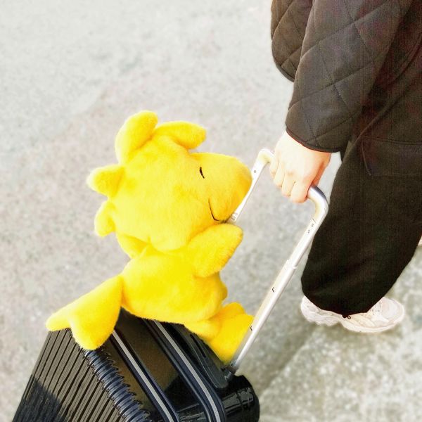【5月預購】日本 PEANUTS 變身頸枕 星空款 絨毛娃娃×頸枕二合一 旅行 出國 可固定 頸枕收納【小福部屋】 