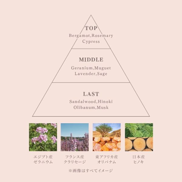 Kao melt 護髮髮油 80ml (保濕款/順滑款) Kao, melt, 日本髮油, 護髮油, 保濕髮油, 順滑髮油, 零膜感, 不黏膩髮油, 修護毛躁, 深層潤澤, 日本製護髮, 香氛髮油, 天竺葵香, 牡丹香