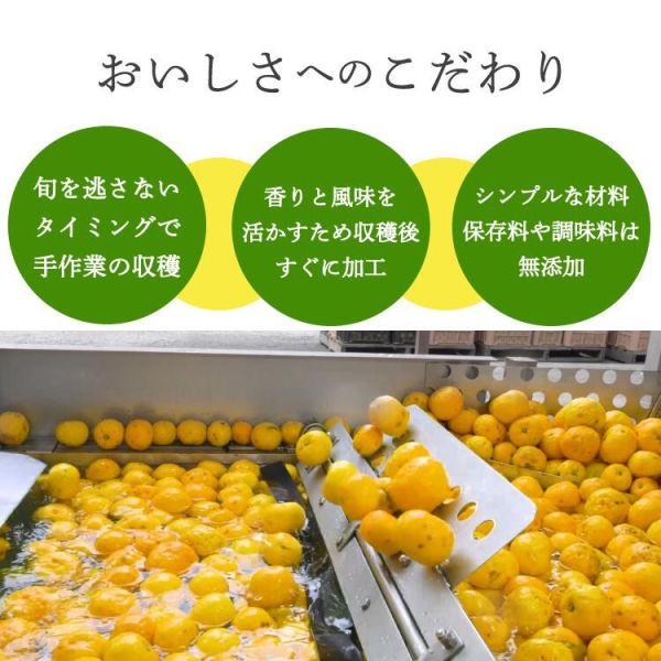 日本製 角屋食品 無添加 柚子胡椒 100g 青柚子胡椒 紅柚子胡椒 辛辣 煎餃 柚子拉麵 調味料 辛辣 辣椒 BBQ【小福部屋】 