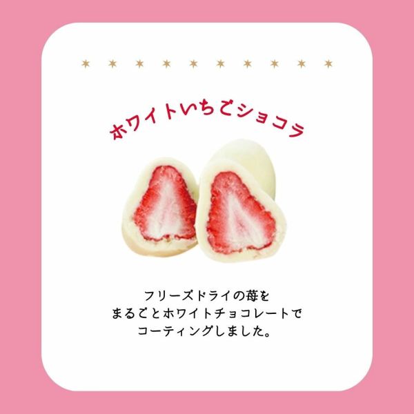 松風屋 草莓之日 草莓巧克力禮盒（日本製/6入/8入） 草莓之日,松風屋,日本草莓巧克力,情人節禮盒,冬季限定,白巧克力草莓,鐵盒甜點,日系甜點,交換禮物,告白禮物,日本伴手禮