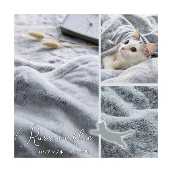 Neko Feel 貓咪觸感毛毯 (三花貓/蘇格蘭折耳貓-米色/俄羅斯藍貓-灰/銀虎斑貓/黑貓) Neko Feel,日本毛毯,貓咪毛毯,三花貓,銀虎斑,保暖毯,療癒毛毯,冬季毯子,交換禮物,貓咪控,觸感毛毯,保暖小物