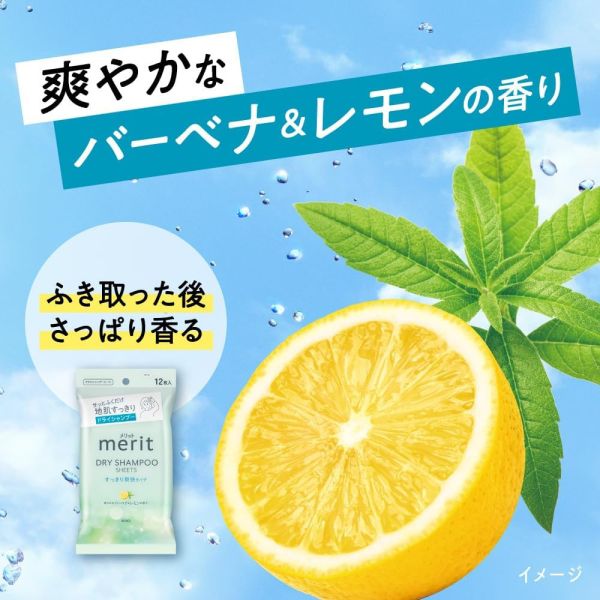 日本製 Kao merit DAY+ 乾洗髮濕紙巾 12枚 乾洗髮濕巾 乾洗髮 乾洗頭 油頭 不黏膩 外出 露營 夏季必備 日本製,Kao,meritDAY+乾洗髮濕紙巾12枚,乾洗髮濕巾,乾洗髮,乾洗頭,油頭,不黏膩,外出,露營,夏季必備