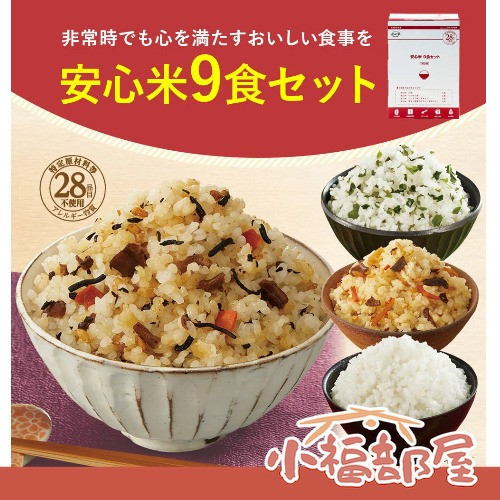 日本熱銷 Alpfa 乾燥米飯 9入 非常食 防災食品 防災 地震 露營 登山 緊急 避難【小福部屋】 