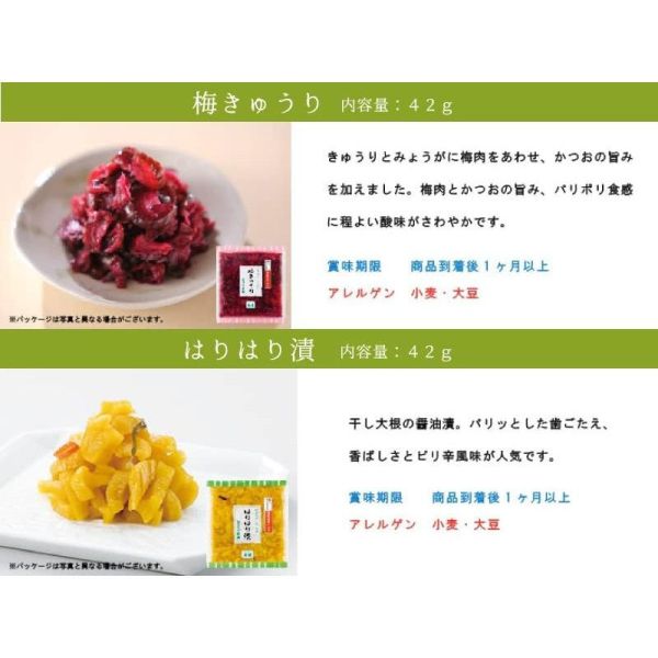 日本傳統 京漬物大安 漬物禮盒 醃菜 漬物 禮盒 小包裝 方便攜帶 老字號 醬料 醬菜 送禮 日本風味【小福部屋】 