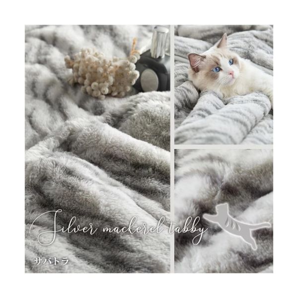Neko Feel 貓咪觸感毛毯 (三花貓/蘇格蘭折耳貓-米色/俄羅斯藍貓-灰/銀虎斑貓/黑貓) Neko Feel,日本毛毯,貓咪毛毯,三花貓,銀虎斑,保暖毯,療癒毛毯,冬季毯子,交換禮物,貓咪控,觸感毛毯,保暖小物