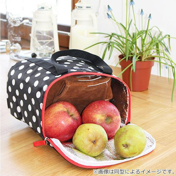 HannaHula 保溫袋 S 保冷袋 冷藏袋 便當袋 保鮮提袋 手提包【小福部屋】 