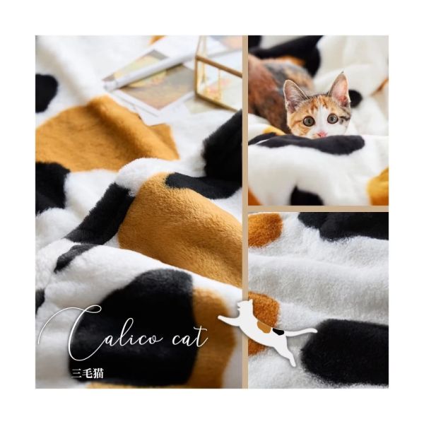 Neko Feel 貓咪觸感毛毯 (三花貓/蘇格蘭折耳貓-米色/俄羅斯藍貓-灰/銀虎斑貓/黑貓) Neko Feel,日本毛毯,貓咪毛毯,三花貓,銀虎斑,保暖毯,療癒毛毯,冬季毯子,交換禮物,貓咪控,觸感毛毯,保暖小物