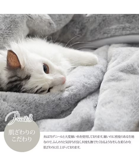 Neko Feel 貓咪觸感毛毯 (三花貓/蘇格蘭折耳貓-米色/俄羅斯藍貓-灰/銀虎斑貓/黑貓) Neko Feel,日本毛毯,貓咪毛毯,三花貓,銀虎斑,保暖毯,療癒毛毯,冬季毯子,交換禮物,貓咪控,觸感毛毯,保暖小物