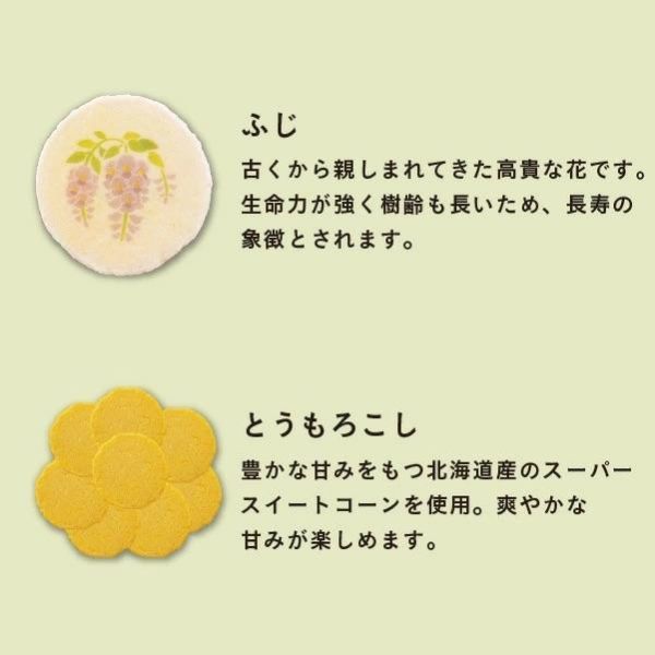 桂新堂 初夏系列 蝦餅禮盒（ 8入/ 10入/16入/24入/41入） 桂新堂,蝦餅禮盒,日本仙貝,夏季禮盒,日式伴手禮,蝦味煎餅,日本零食禮盒,端午送禮,高級蝦餅,季節限定