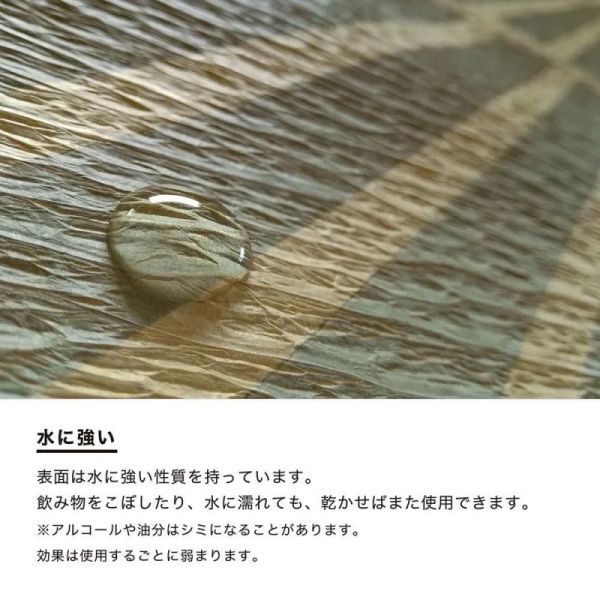 社群爆紅 日本製 RePePa 木漏れ日野餐墊 樹葉間隙 光影 再生紙 環保 永續 高質感 防水 輕便 設計感 戶外【小福部屋】 