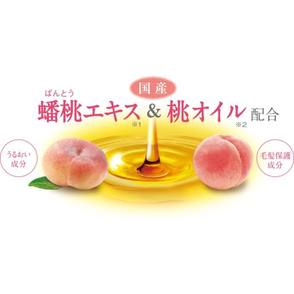 DARIYA Momori 桃核油護髮系列 