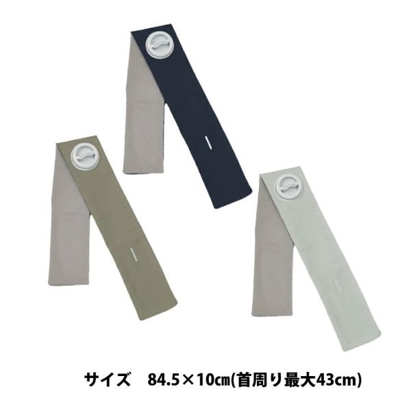 Alphax 可捲式冰袋 常規 夏日對策 夏日必備 降溫 冰袋 棒球 球賽 上學 運動賽事【小福部屋】 
