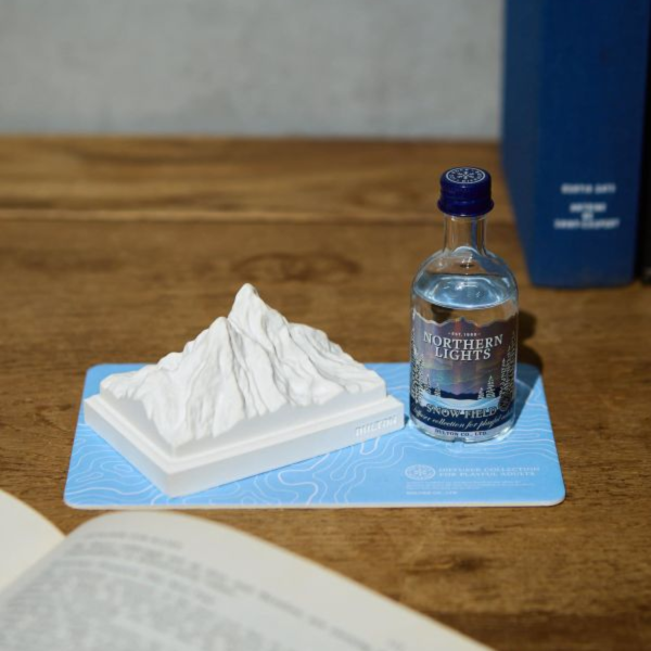 DULTON 冰岩擴香器 (Northen lights/Deep blue/Majestic elk) DULTON 擴香器,日本擴香器,酒瓶造型擴香器,白麝香擴香,草本香氛,日本禮盒推薦,居家香氛,日本送禮推薦,聖誕節交換禮物,設計感擴香