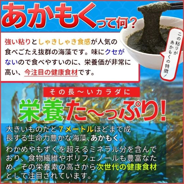 伊勢志摩產 日本製 銅藻粉末 100g 伊勢志摩銅藻粉末,銅藻粉,日本海藻粉,天然健康食材,無添加藻類,日本料理食材,湯品調味粉,日本三重特產,海藻營養粉,家庭料理海藻