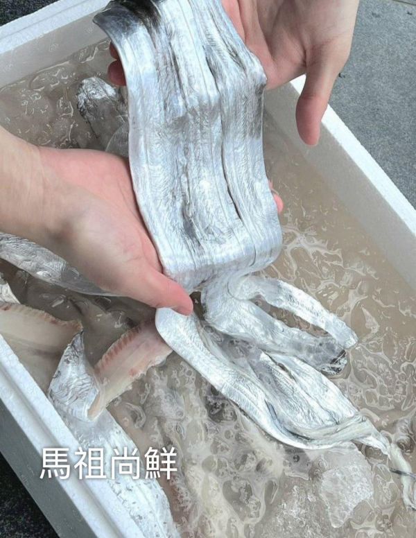 台灣白帶魚清肉 