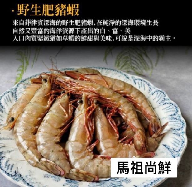 野生肥豬蝦 熱賣的【野生肥豬蝦】‼‼  每盒560元  【商品規格】：  每盒 淨重500g/5~6隻   【進口產地】：菲律賓 