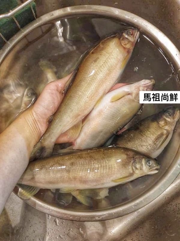 巨無霸(母)香魚每盒600元  【商品規格】：每盒900g4~5尾   【產地】：台灣 