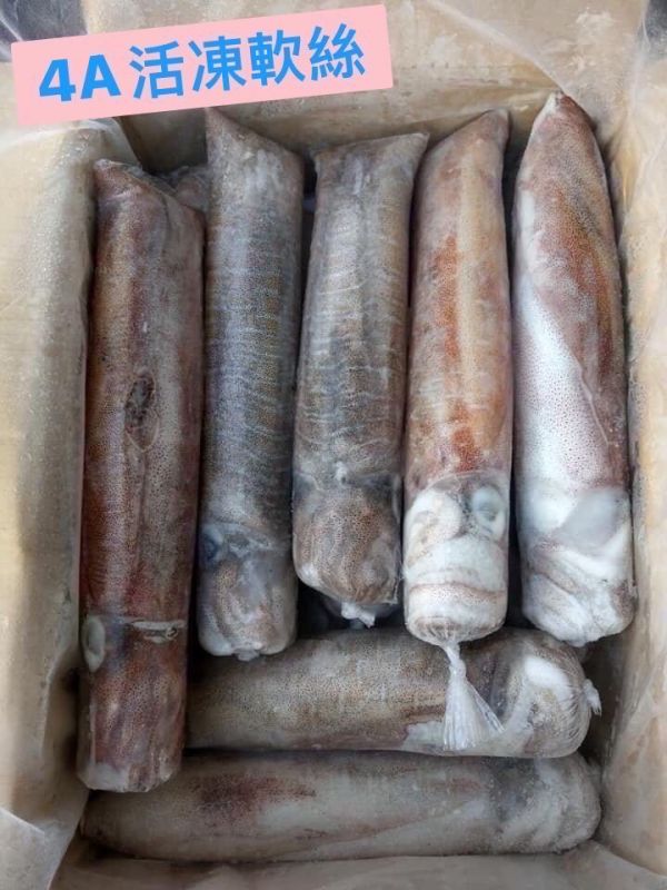 4A等級手釣活凍軟絲    一隻370元                特價三隻1050元 （每隻600-800g） 