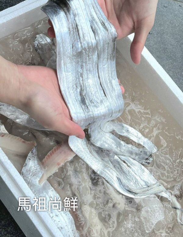 台灣白帶魚清肉每包110元【包裝規格】: 每包500g 