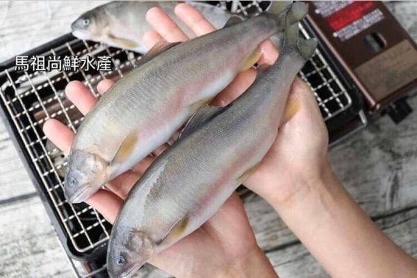 巨無霸(母)香魚每盒600元  【商品規格】：每盒900g4~5尾   【產地】：台灣 