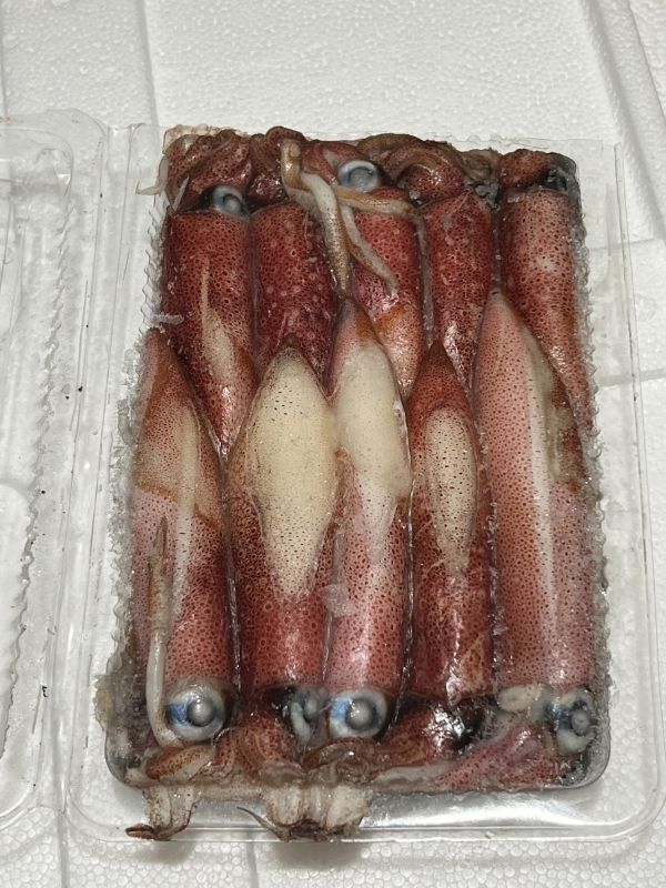 活凍生小卷二排每盒130元  規格(約300g/約12隻) 