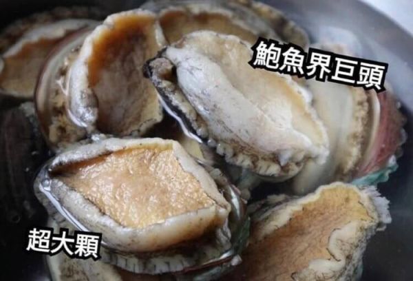 活凍御品半殼鮑魚12顆 