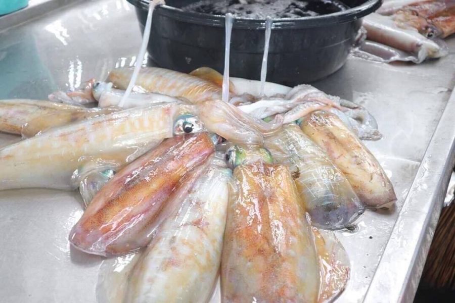 4A等級手釣活凍軟絲    一隻370元                特價三隻1050元 （每隻600-800g） 