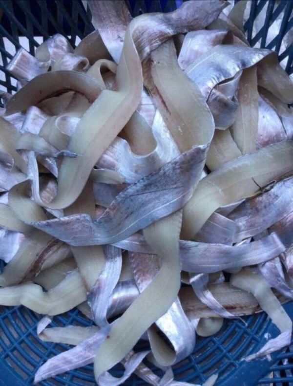 台灣白帶魚清肉每包110元【包裝規格】: 每包500g 