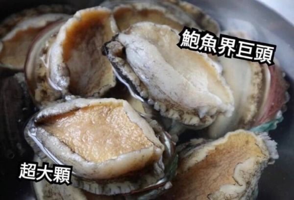 御品半殼鮑魚每包420元(每包10-12顆,淨重550g) 