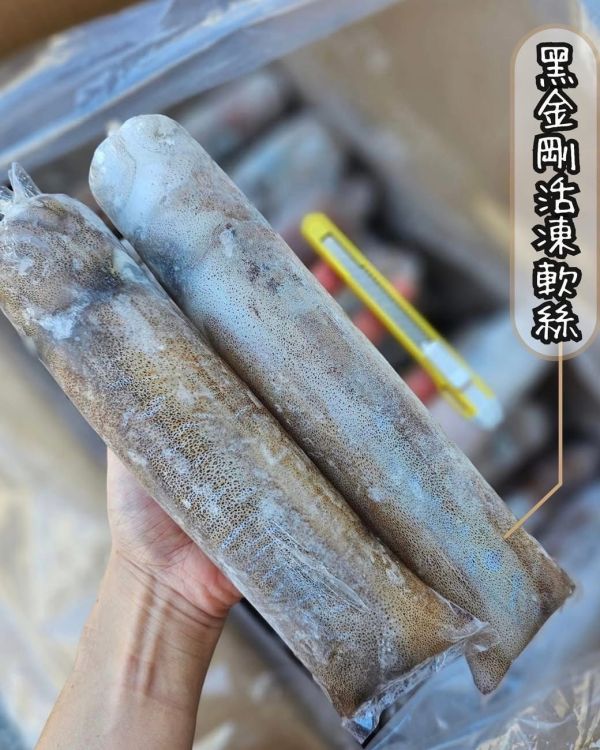 黑金剛活凍軟絲     1隻370元       特價3隻1050元 （每隻600-800g） 