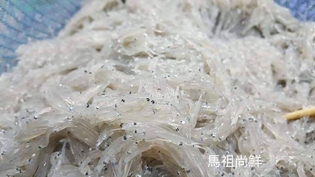 宜蘭生吻仔魚+1就是2盒 