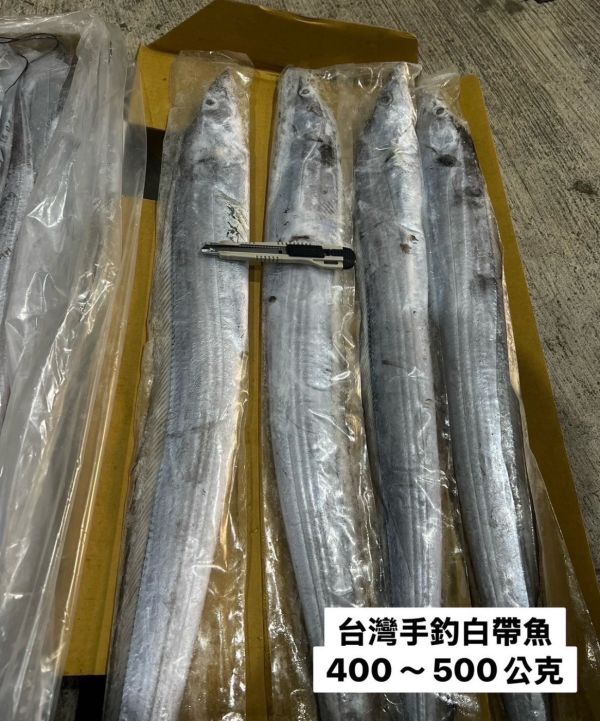 台灣手釣整尾白帶魚4000~4400元   兩款規格：400-500克/尾 500-700克/尾 每箱淨重10公斤  單隻套袋 