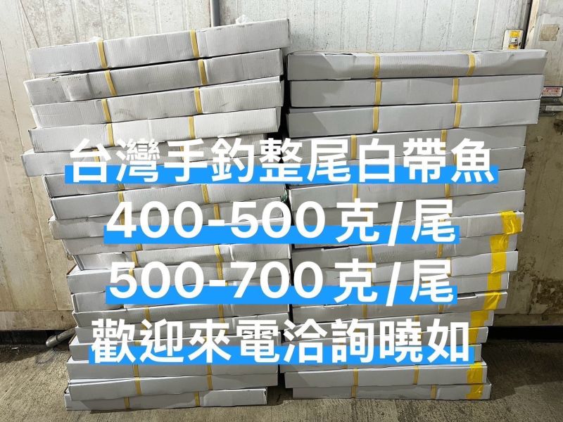 台灣手釣整尾白帶魚4000~4400元   兩款規格：400-500克/尾 500-700克/尾 每箱淨重10公斤  單隻套袋 