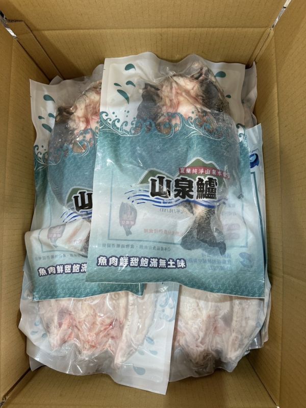 宜蘭山泉鱸魚-1尾200元   特價5尾900元蝴蝶切彩色真空袋/純重無包冰 每尾550-600g 肥美   整箱購買另有優惠價 