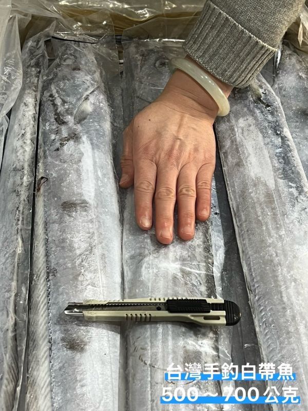 台灣手釣整尾白帶魚  每箱淨重10公斤  規格：500-700克/尾  單隻套袋 