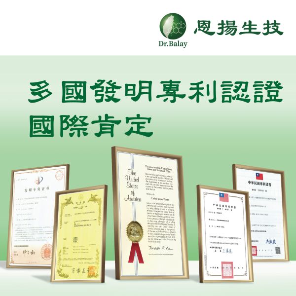 牛樟芝子實體單方滴粒（100粒/瓶、1瓶/盒） 恩揚,牛樟芝,子實體,滴粒,滴丸,牛樟芝功效,牛樟芝三萜類,牛樟芝菌絲體,牛樟芝子實體滴粒