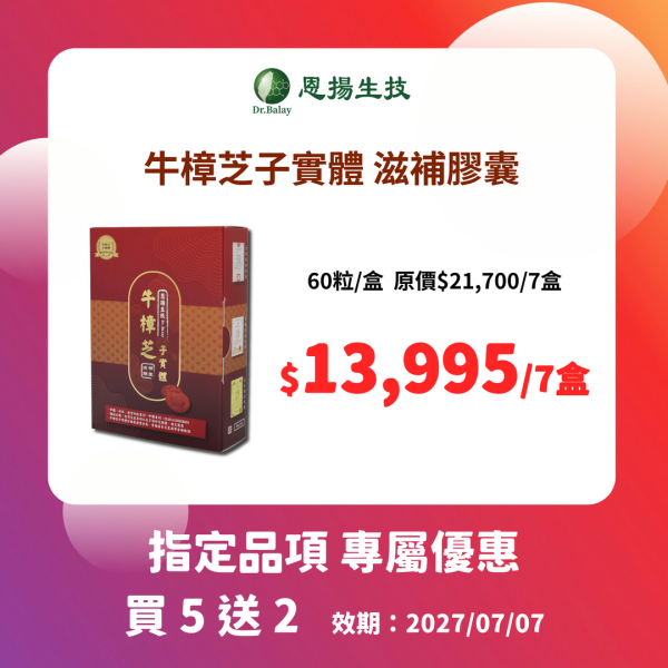 牛樟芝子實體滋補膠囊（60粒/盒） 牛樟芝,子實體,滋補,牛樟芝功效,調整體質,牛樟芝三萜類,牛樟芝價格,牛樟芝子實體滋補膠囊