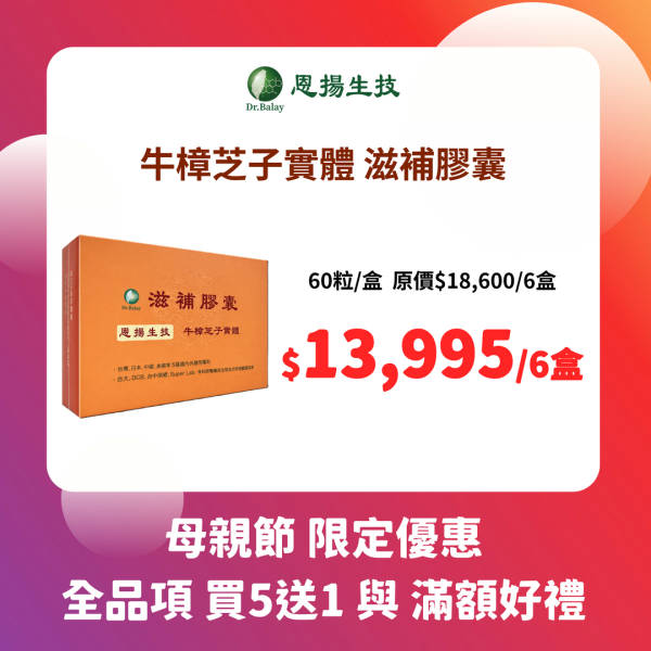 【新包裝】牛樟芝子實體滋補膠囊（60粒/盒） 牛樟芝,子實體,滋補,牛樟芝功效,調整體質,牛樟芝三萜類,牛樟芝價格,牛樟芝子實體滋補膠囊
