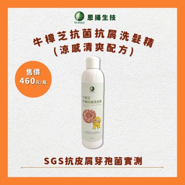 牛樟芝抗菌抗屑洗髮精（涼感清爽配方，250ml/瓶） 牛樟芝,洗髮精,頭皮屑 洗髮精,洗髮精推薦,洗髮精品牌,頭皮癢,頭皮屑