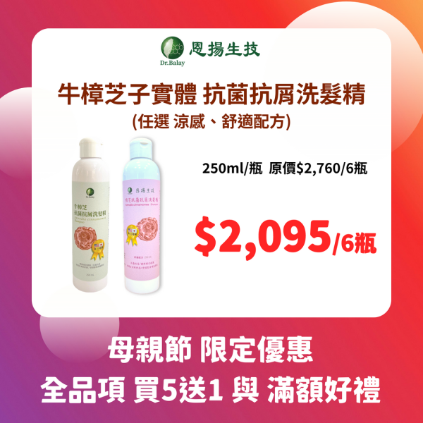 【任選】牛樟芝抗菌抗屑洗髮精(涼感/舒適配方，250ml/瓶) 